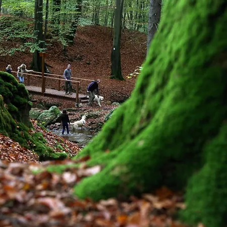 Шале Le Milan Royal 26 Pers, Malmedy, Balneo, Vue, Calme *